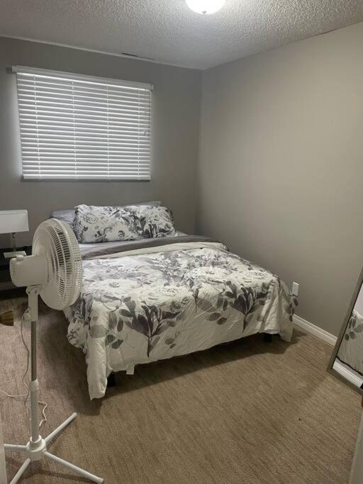 Wonderful 2-Bedroom Apartment Camrose Kültér fotó